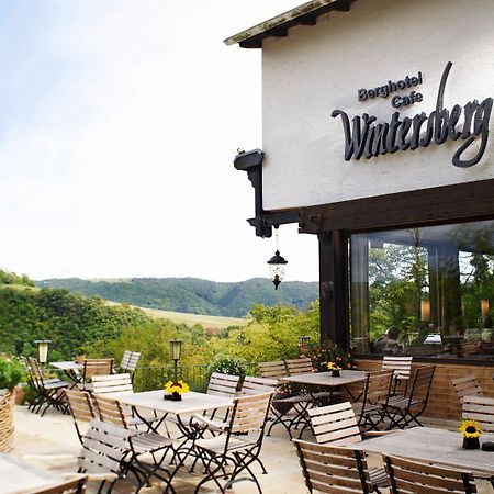 Berghotel Wintersberg Бад-Емс Екстер'єр фото